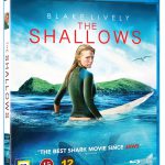 The Shallows