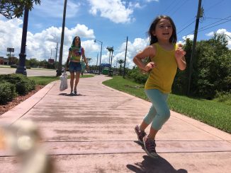 florida project